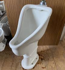 1750240221_images - 2025-06-18T151926.285.jpeg